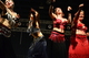 Shimmy & Shake 2013