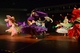 Shimmy & Shake 2014